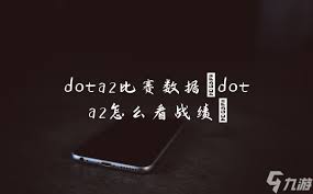 怎么查看dota2的完美通行證